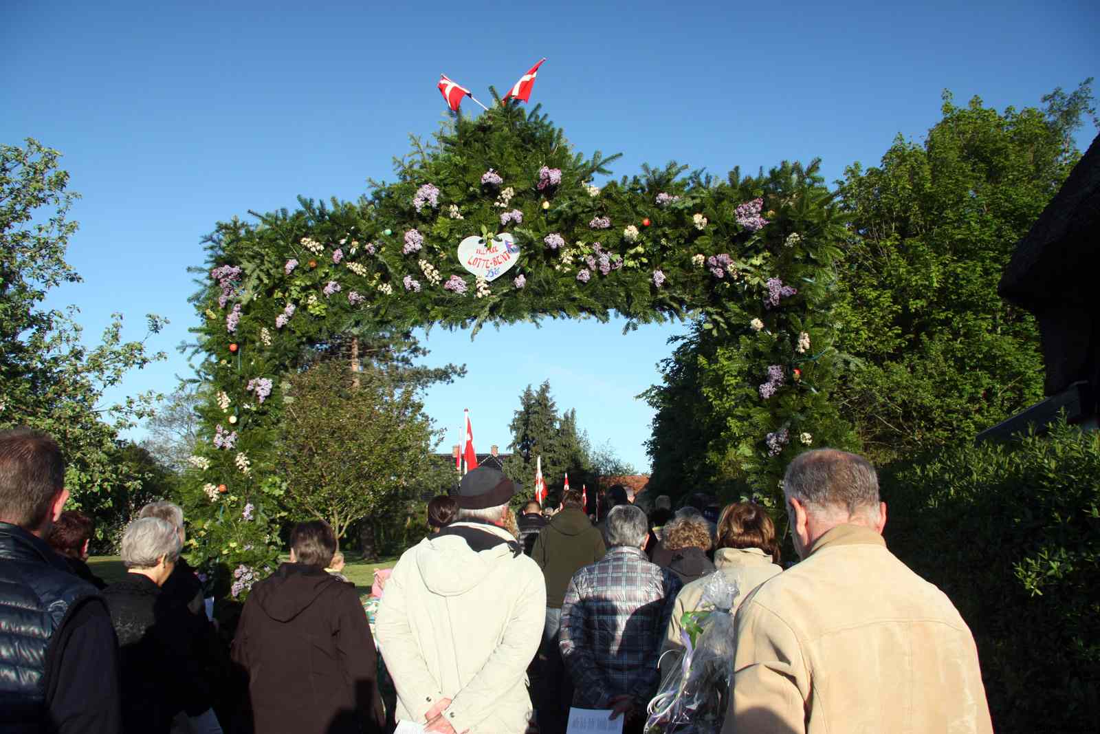 * Image 18