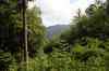 20140603_152050.jpg - 2014:06:03 15:20:50
