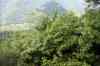 20140603_162032.jpg - 2014:06:03 16:20:32