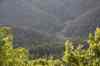 20140603_164952.jpg - 2014:06:03 16:49:52