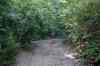 20140609_172813.jpg - 2014:06:09 17:28:13