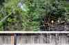 20140610_150836.jpg - 2014:06:10 15:08:36