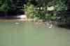 20140610_151027.jpg - 2014:06:10 15:10:27