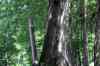 20140610_152111.jpg - 2014:06:10 15:21:11