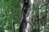 20140610_152114.jpg - 2014:06:10 15:21:14