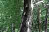 20140610_152115.jpg - 2014:06:10 15:21:15