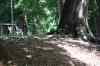 20140610_152122.jpg - 2014:06:10 15:21:22