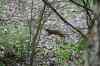20140610_152710.jpg - 2014:06:10 15:27:10