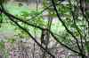 20140610_152715.jpg - 2014:06:10 15:27:15