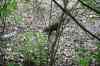20140610_152720.jpg - 2014:06:10 15:27:20