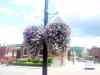 20140604_120344.jpg - 2014:06:04 12:03:44