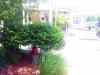 20140604_122828.jpg - 2014:06:04 12:28:28