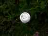20140604_182735.jpg - 2014:06:04 18:27:35