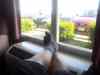 20140607_173158.jpg - 2014:06:07 17:31:58