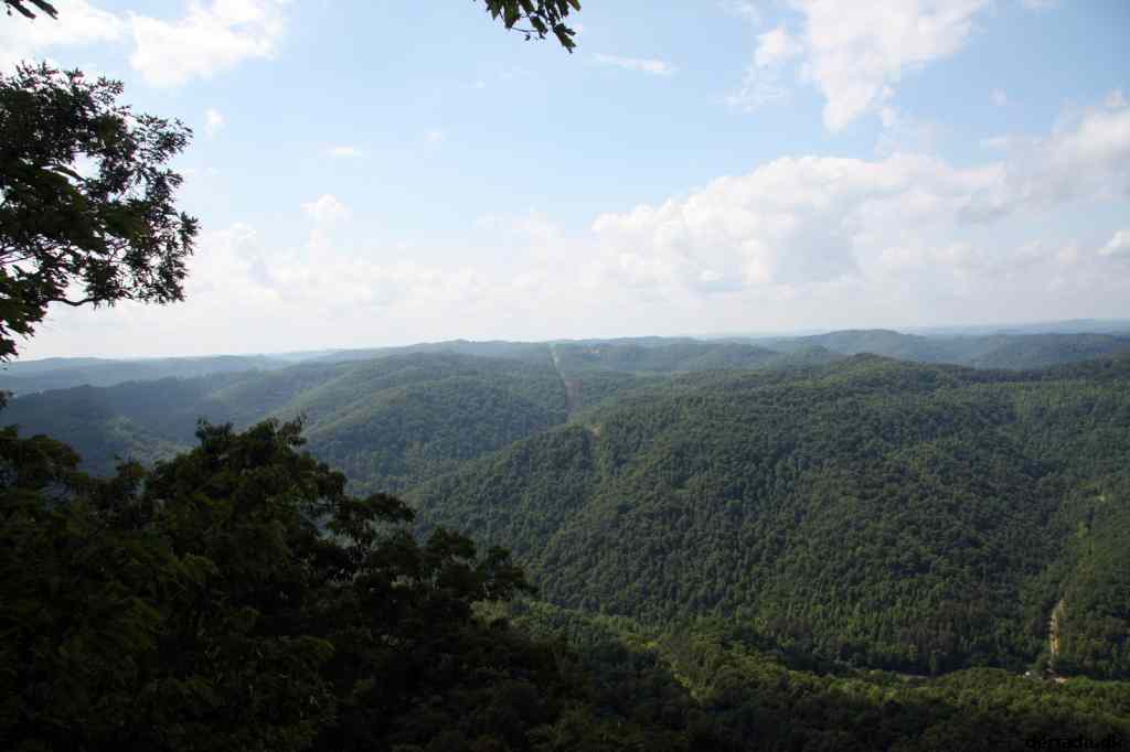 * Image 63
