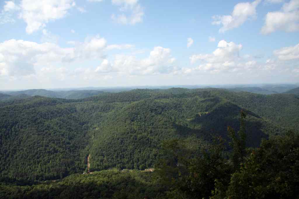 * Image 65