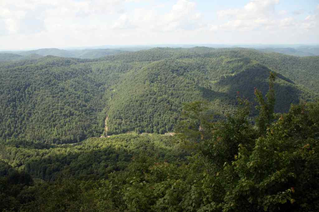 * Image 68