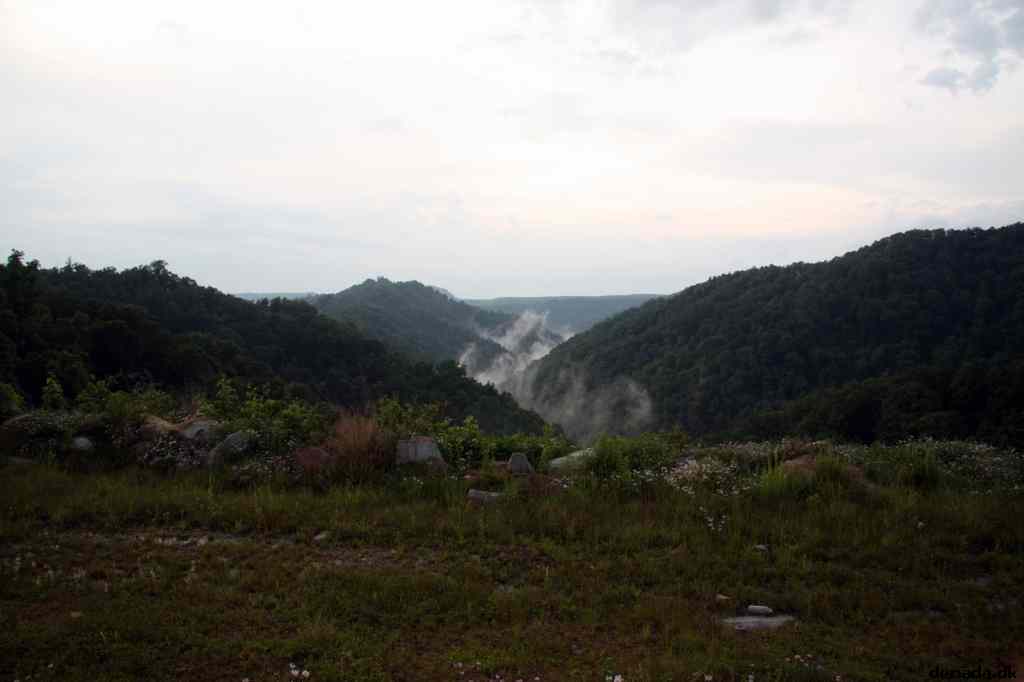 * Image 115