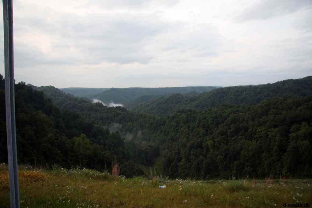 * Image 117