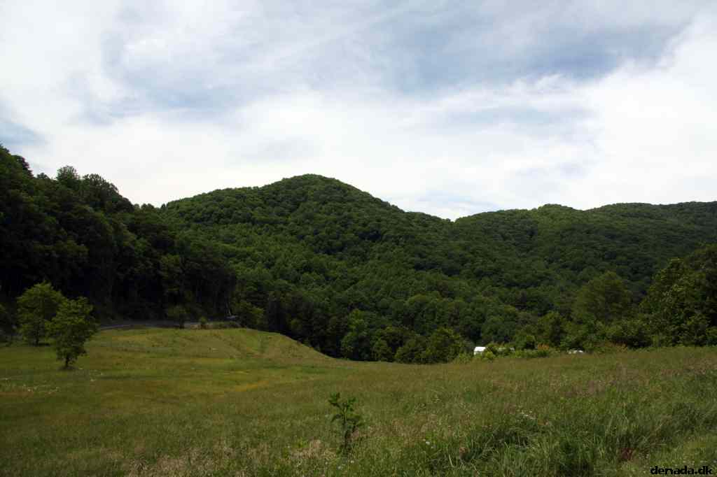 * Image 314