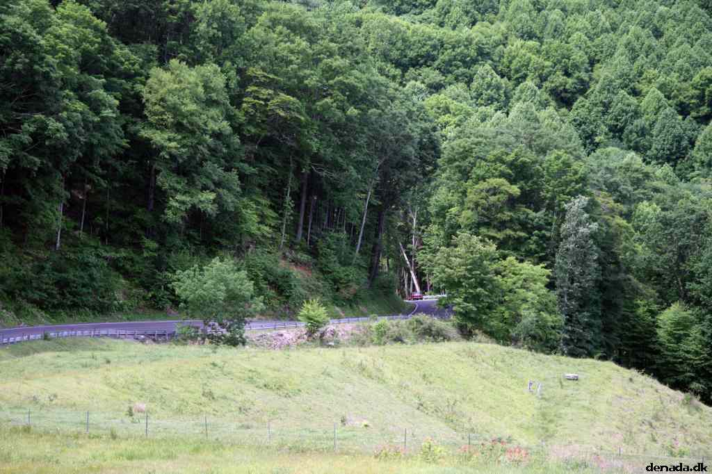 * Image 315