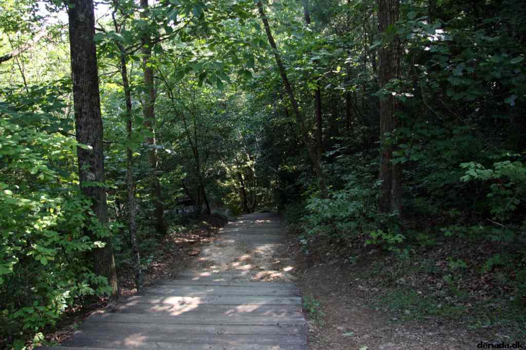 * Image 331
