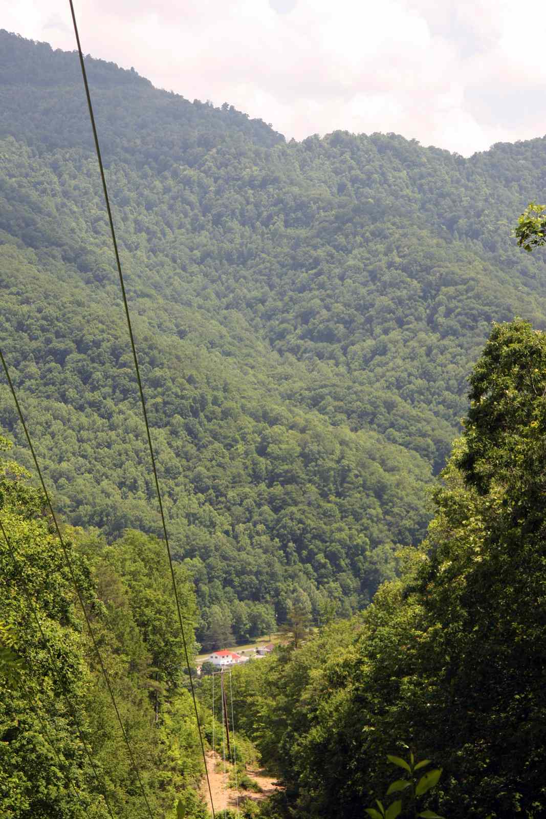 * Image 53