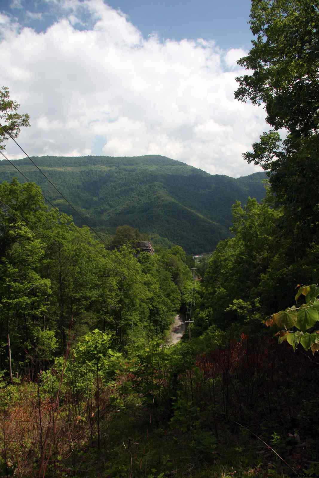 * Image 59
