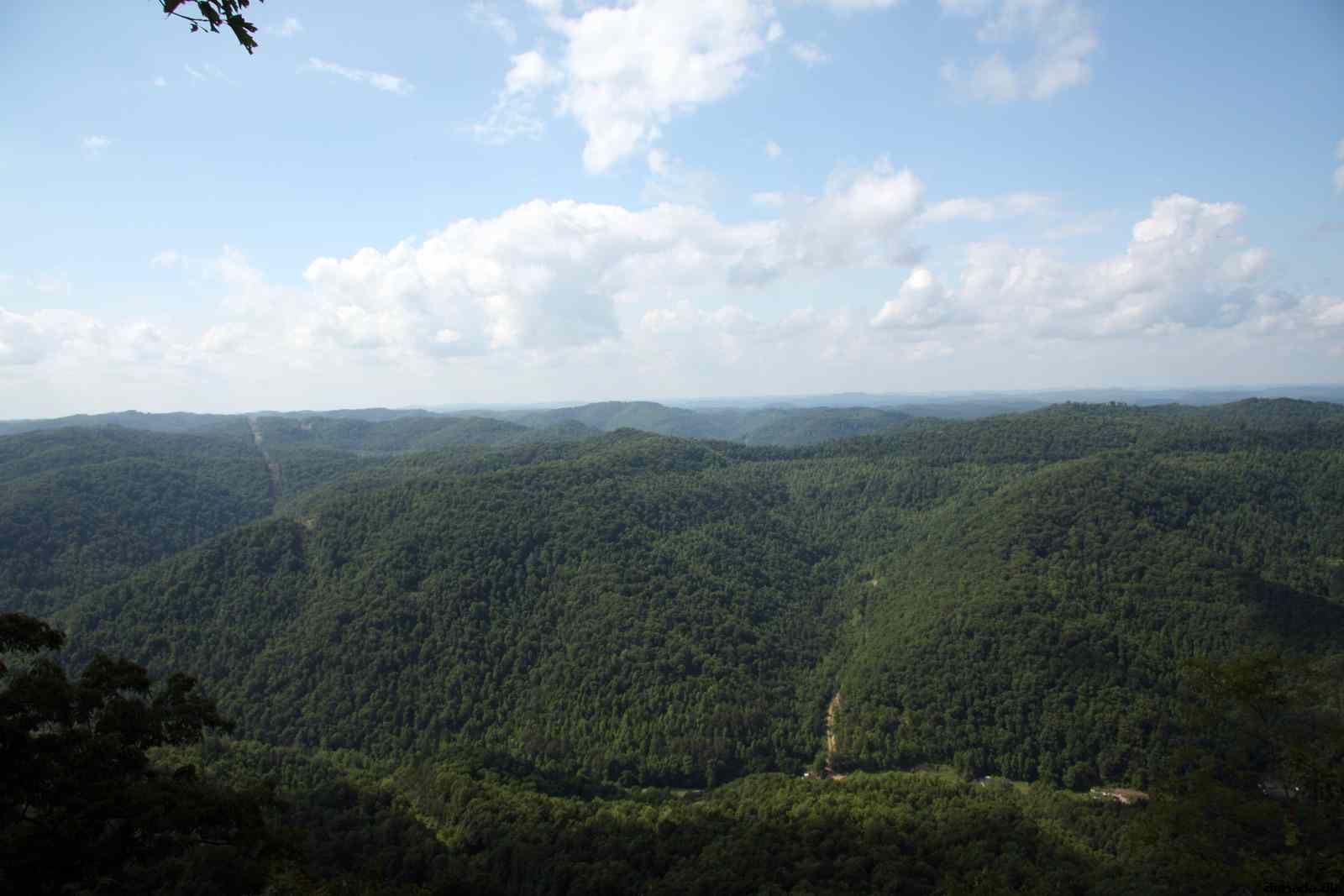 * Image 64