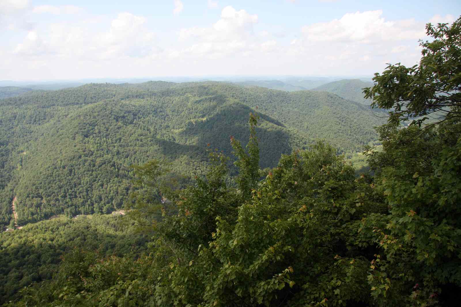 * Image 67