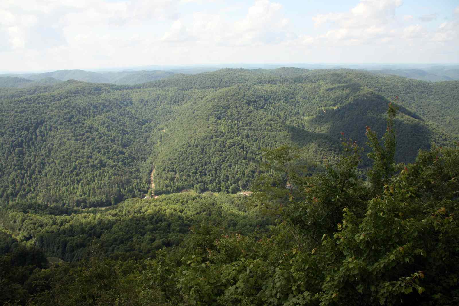 * Image 68