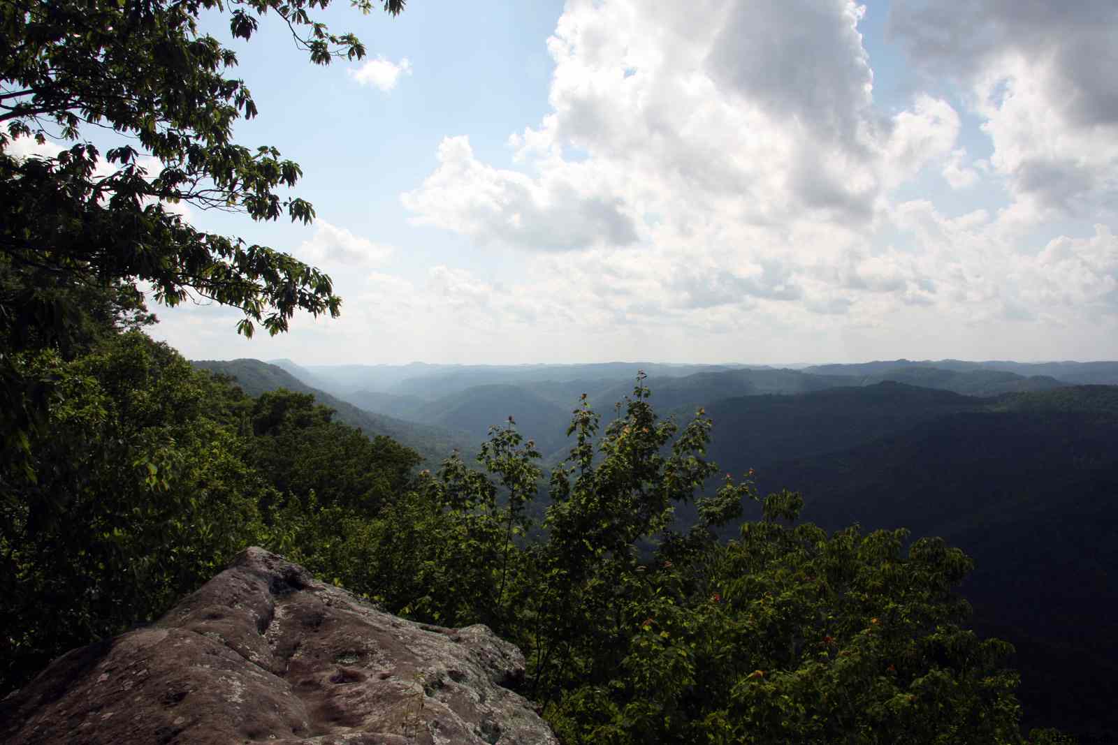 * Image 78
