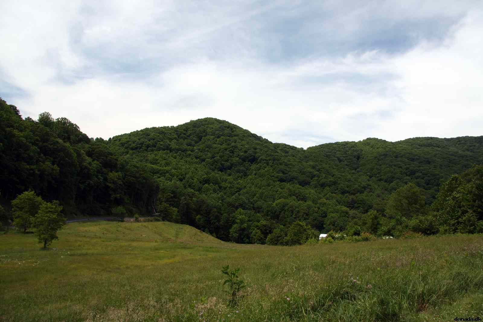 * Image 314