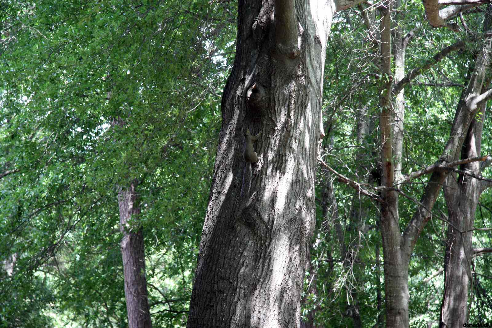 * Image 360