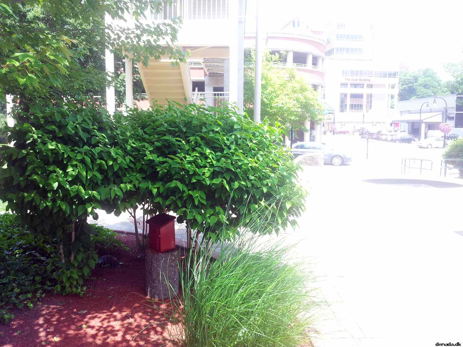 * Image 102