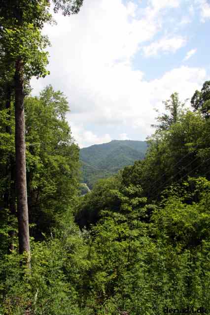 * Image 49