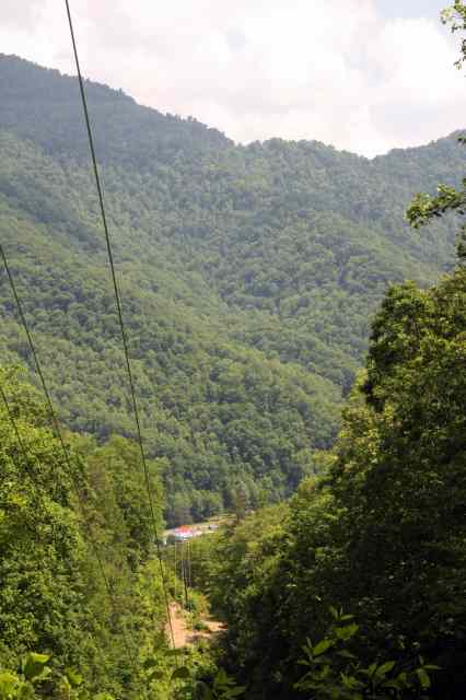 * Image 52