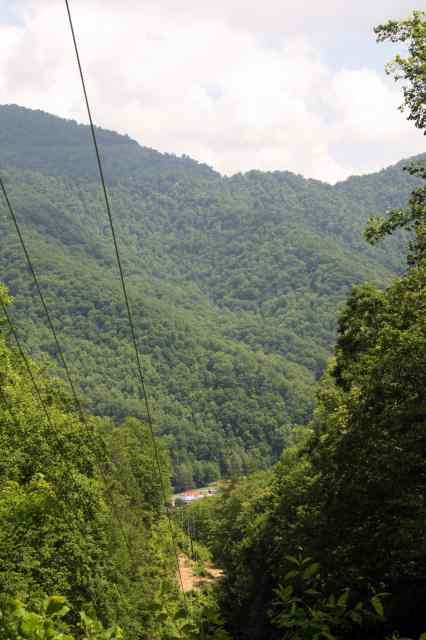 * Image 54