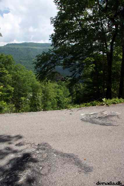 * Image 58