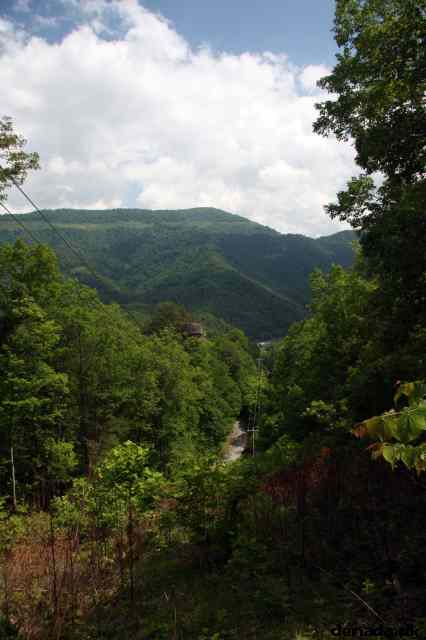 * Image 59