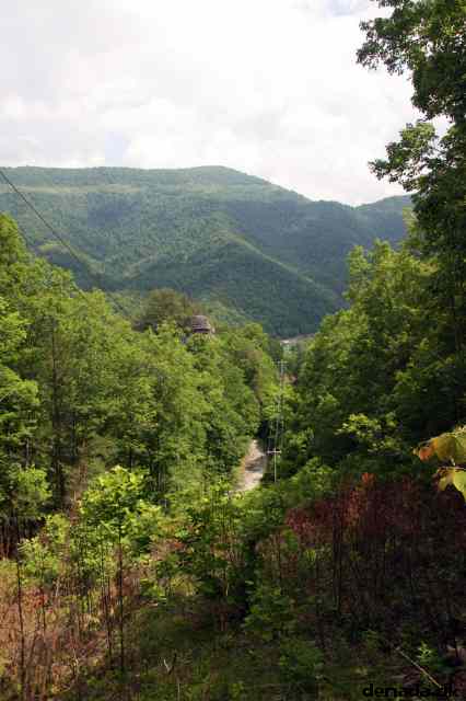 * Image 60