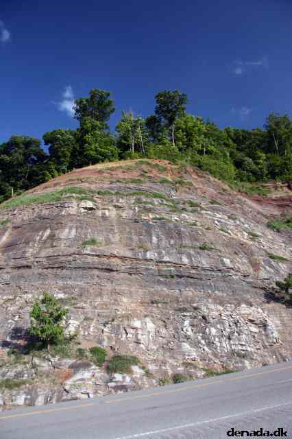 * Image 85