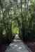 20140610_152623.jpg - 2014:06:10 15:26:23