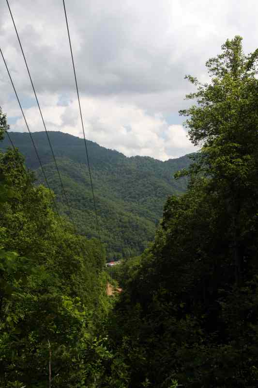 * Image 50