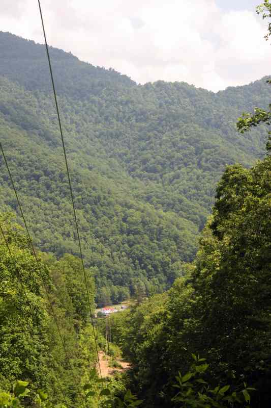 * Image 52