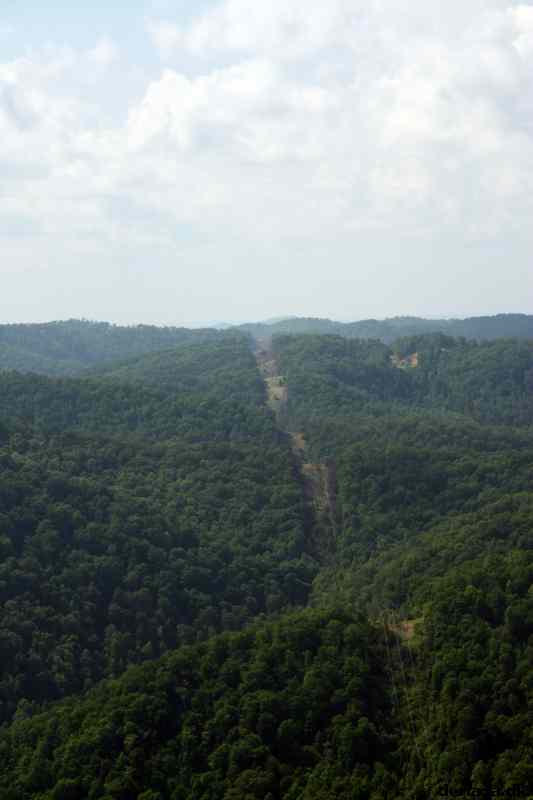 * Image 76