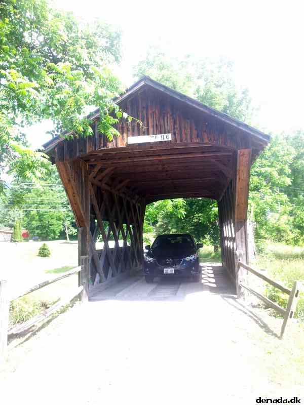 * Image 308