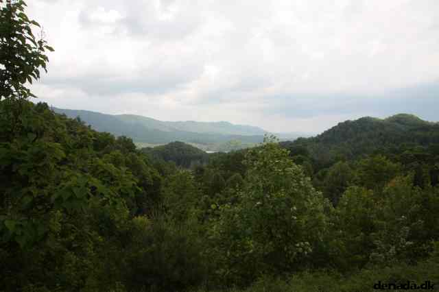 * Image 10