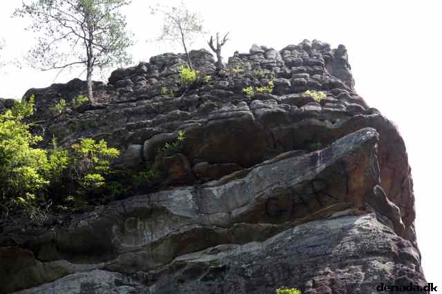 * Image 47