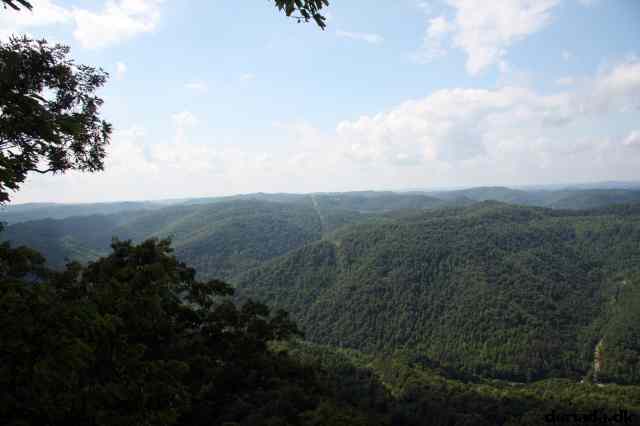 * Image 63